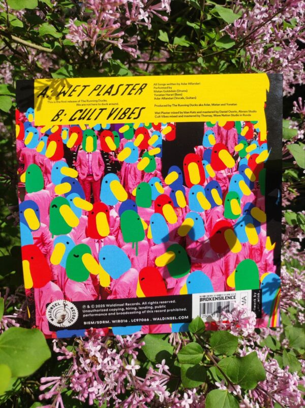 PRE-ORDER - Adar Alfandari & The Running Ducks -  Wet Plaster (Vinyl Single) – Bild 2