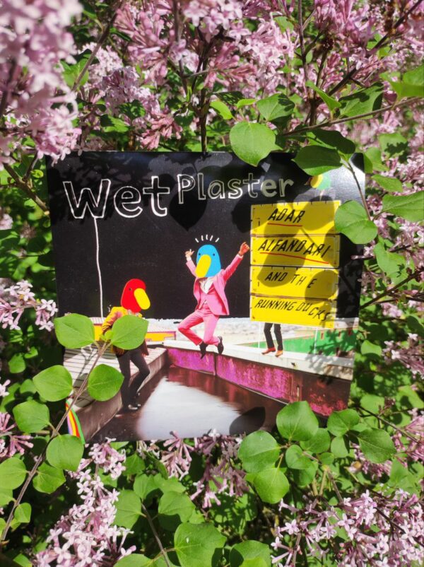 PRE-ORDER - Adar Alfandari & The Running Ducks -  Wet Plaster (Vinyl Single) – Bild 4